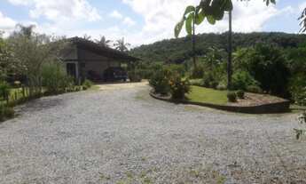 Imagem 4: Fazenda/Sítio/Chácara para venda em Guaramirim no Rio Branco