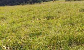 Imagem 6: Terreno com 411.000 e 920.000 Castelo Branco