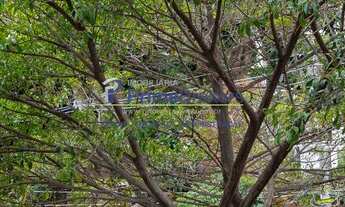 Imagem 4: Apartamento para venda na Aclimação 2 quartos