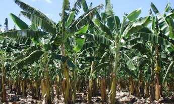 Imagem 3: Crédito Imobiliário de R$ 100.000 a R$ 10.000.000