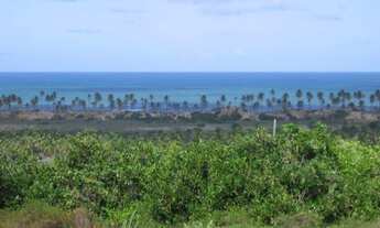 Imagem 2: Área Frontal 650000 m² em Barra do Itariri