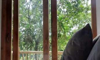 Imagem 3: Chalé para Venda em Porto Seguro, Trancoso, 3 dormitórios, 1 suíte, 1 banheiro