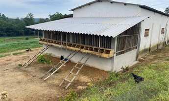 Imagem 5: Chácara Em São Miguel Arcanjo