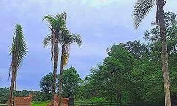 Imagem 7: ÚNICO SÍTIO COM ESCRITURA E PARCELAMENTO DIRETO