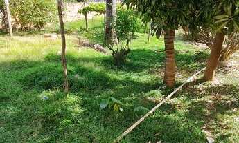 Imagem: Próximo do comércios lote comercial rua