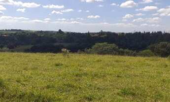 Imagem 3: Terreno com 411.000 e 920.000 Castelo Branco