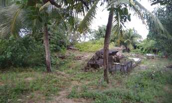 Imagem 6: Lote/Terreno para venda possui 2700 metros quadrados