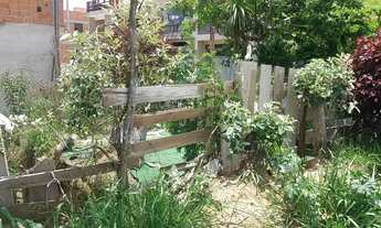 Imagem 6: Vendo 1/2 lote c/casa simples/bairro Cidade São Pedro/R$70 mil + parcelas