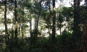 Imagem 6: Chácara para Venda