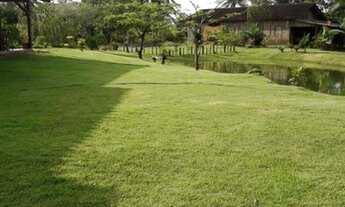 Imagem 3: Fazenda/Sítio/Chácara para venda em Guaramirim no Rio Branco