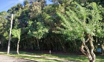 Imagem 2: Terreno Residencial à venda, Laje de Pedra, Canela - TE0071