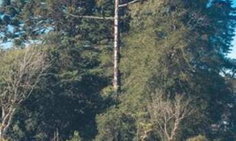 Imagem 3: Terreno em condomínio fechado