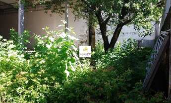 Imagem 5: Galpão para venda ou locação, Vila Moinho Velho, 800m²!