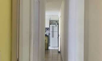 Imagem 4: Alameda jardins reformado