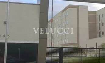 Imagem: Apartamento - Jardim Esmeraldina - Campinas