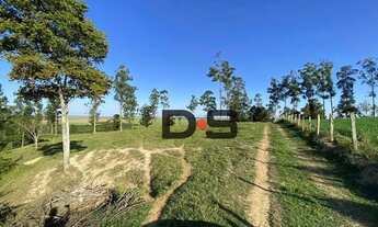 Imagem 6: Terreno à venda, 222640 m² por R$ 1.400.000,00 - Sete Fogões - Tietê/SP