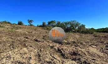 Imagem 6: Fazenda com 2 dormitórios à venda, 750200 m² por R$ 2.700.000,00 - Zona Rural - Paraúna/GO