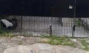 Imagem 2: IMÓVEL LOMAS 3/4