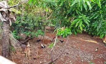 Imagem 3: Vendo Terreno 450m² ótima localização