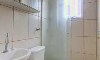 Imagem 7: Apartamento para Aluguel - Vila Ipiranga, 1 Quarto, 32 m2