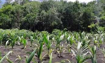 Imagem 5: Belíssima Chácara Próxima a Anápolis!