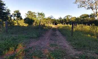 Imagem 6: Chácara em Santa Rosa 9 9 8 0 3 8 3 7 6