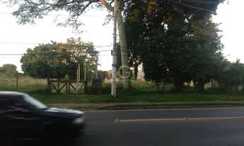 Imagem: Terreno em Restinga