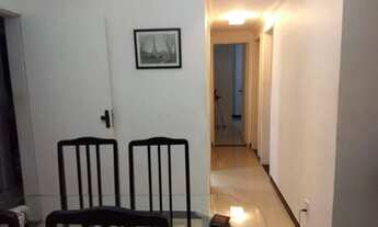 Imagem 3: Flamboyant 67750