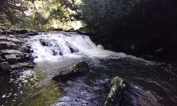 Imagem 3: Imóvel rural em Anitapolis