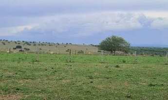 Imagem 6: FAZENDA 1060 HECTARES EM CORGUINHO/MS