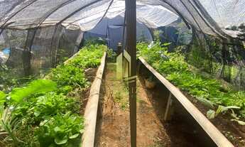 Imagem 7: FRANCA - Casa Padrão - Residencial Paraíso