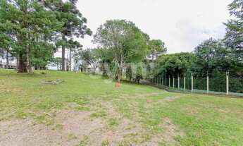 Imagem 4: CURITIBA - Terreno Padrão - Campo Comprido