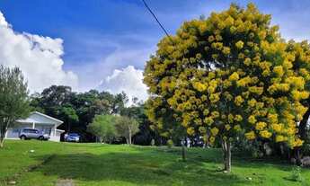 Imagem 3: Linda Chácara em Mandirituba - 40 km de Curitiba - Excelente localização!