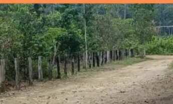 Imagem: Fazenda 55 hectares Titulada na comunidade