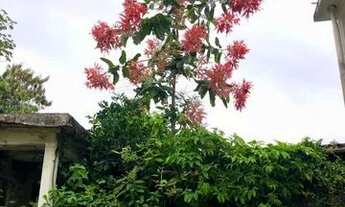 Imagem 7: Casa no Gragoatá - Primeira Locação