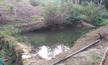 Imagem 5: Vende-se Sítio Ramal Boa Sorte