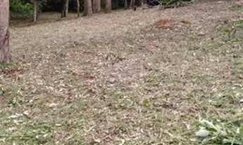 Imagem 3: Terreno em Aberta dos Morros