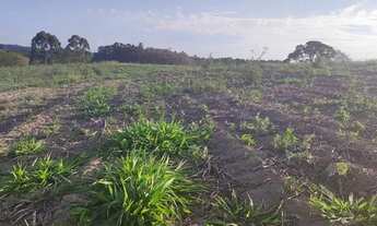 Imagem 4: 48AN-1O5FI20 Terreno / lote com venda por R$90.000