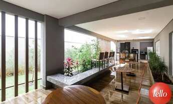 Imagem 7: São Paulo - Apartamento Padrão - Tatuapé