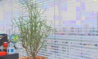 Imagem 7: Apartamento para aluguel e venda possui 50 metros quadrados com 1 quarto