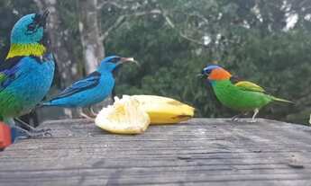 Imagem: Chácara/Lote C/ 2.300 Mts, 8 KM da BR101