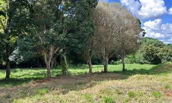 Imagem 6: Linda chácara na área urbana do município de Corbélia!!!