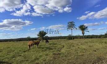 Imagem 3: Fazenda na Chapada Gaúcha em Minas Gerais, à venda com 1.016ha