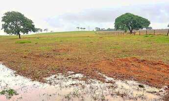 Imagem 3: Fazenda própria pra café ?