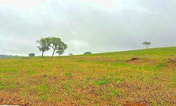 Imagem 2: Fazenda própria pra café ?