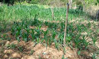 Imagem 6: Vende-se Terreno Rural 2.000m2 - Vista Privilegiada