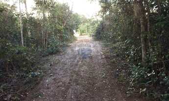 Imagem 7: Terreno AGRO à Venda em Alagoinhas, Bahia