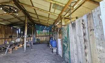 Imagem 6: Velleda oferece magnífico sítio de 4500m² com casa, açude, galpão amplo em Águas Claras