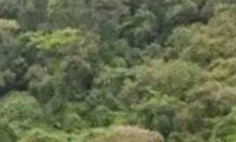 Imagem: Edifício Green tower frente morro moreno