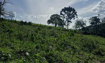 Imagem 2: Imóvel para venda possui 2000 metros quadrados em Centro - Nazaré Paulista - SP